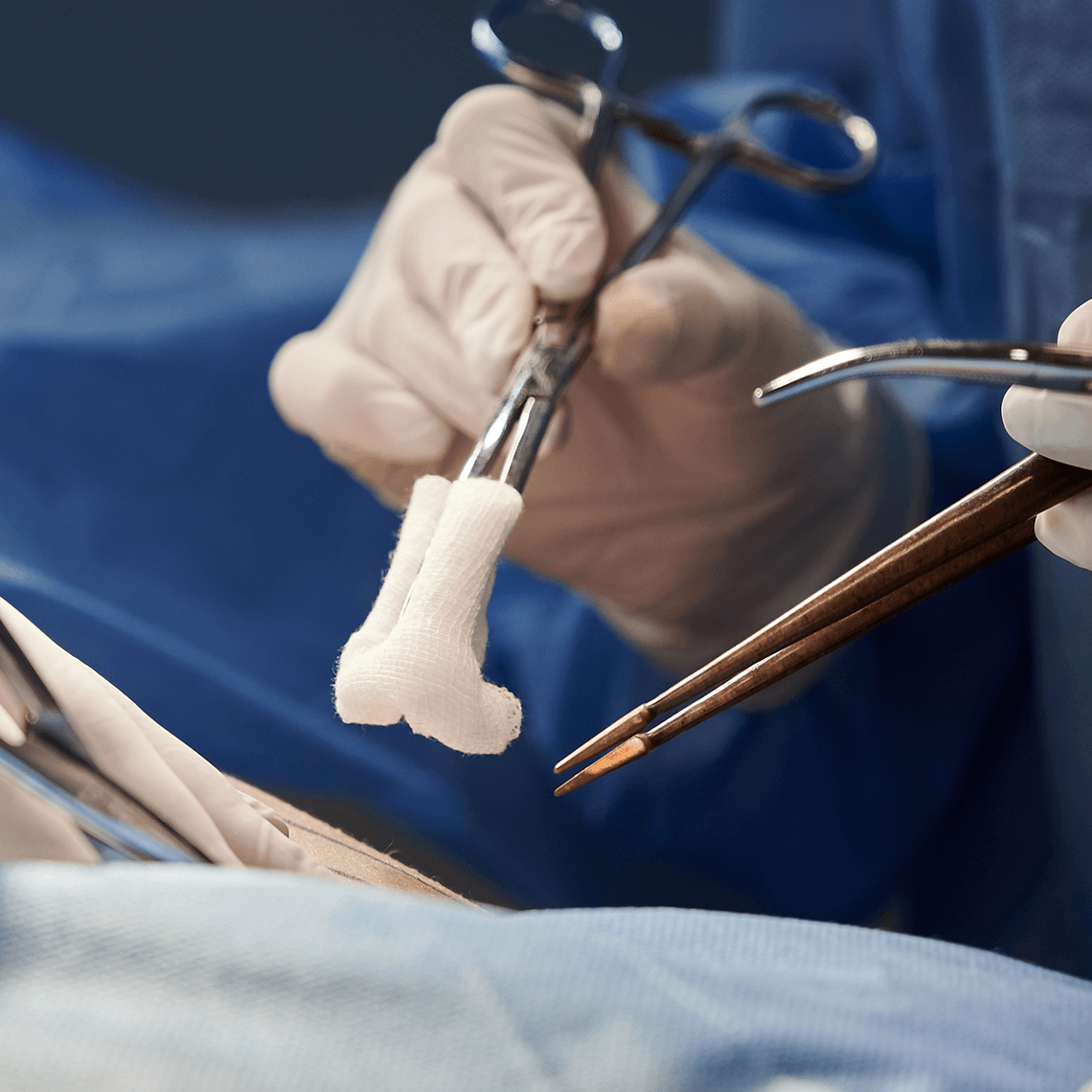 podcast2024sponge 1x1